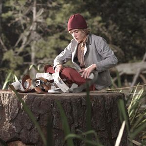 Bilder Nils Holgerssons wunderbare Reise