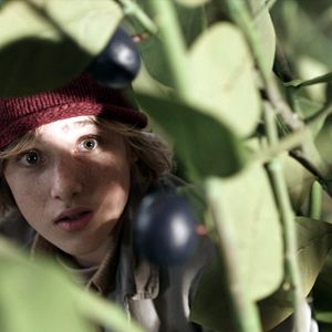 Bilder Nils Holgerssons wunderbare Reise