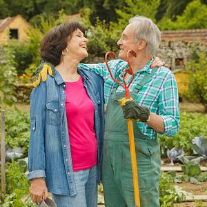 Bilder Bernard Le Coq