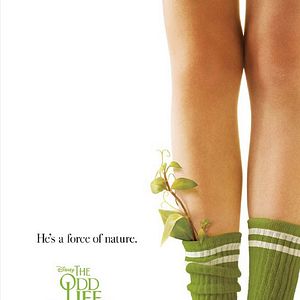 Bilder Das wundersame Leben von Timothy Green