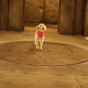 Bilder Treasure Buddies - Schatzschnüffler in Ägypten