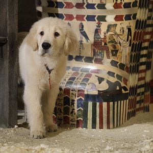 Bilder Treasure Buddies - Schatzschnüffler in Ägypten