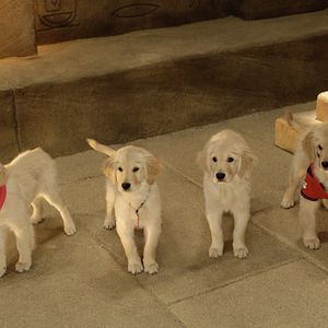 Bilder Treasure Buddies - Schatzschnüffler in Ägypten