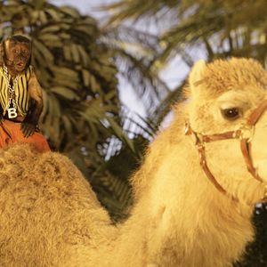 Bilder Treasure Buddies - Schatzschnüffler in Ägypten