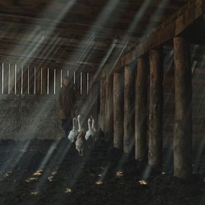 Bilder ¡Vivan las Antipodas!