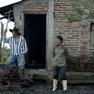 Bilder ¡Vivan las Antipodas!