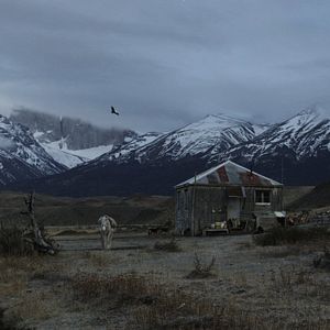 Bilder ¡Vivan las Antipodas!