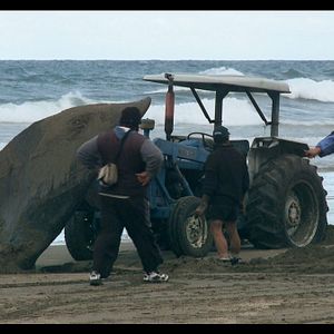 Bilder ¡Vivan las Antipodas!