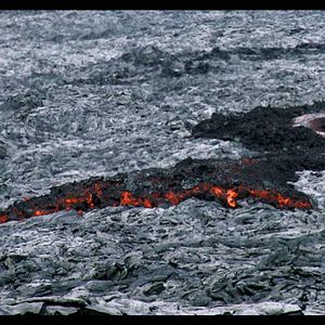 Bilder ¡Vivan las Antipodas!