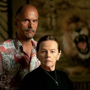 Bilder Das Haus der Krokodile