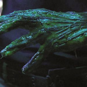 Bilder The Terminators