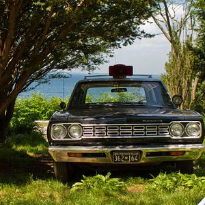 Bilder Moonrise Kingdom