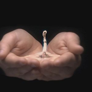 Bilder Water - Die geheime Macht des Wassers