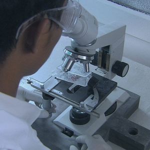 Bilder Water - Die geheime Macht des Wassers