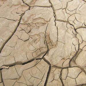 Bilder Water - Die geheime Macht des Wassers