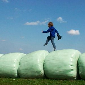Bilder Die Kinder vom Napf
