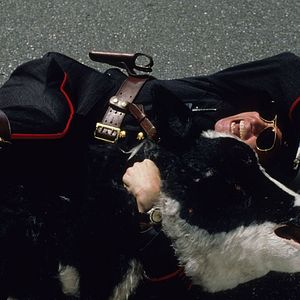 Bilder Ich, beide & sie