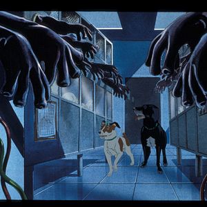 Bilder Die Hunde sind los