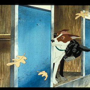 Bilder Die Hunde sind los