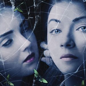 Bilder Die Sehnsucht der Falter