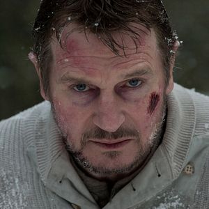 Bilder Liam Neeson