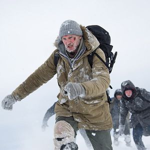 Bilder The Grey - Unter Wölfen