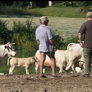 Bilder République de la malbouffe