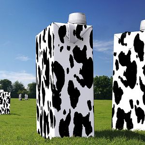 Bilder République de la malbouffe