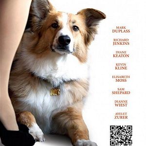 Bilder Darling Companion - Ein Hund fürs Leben