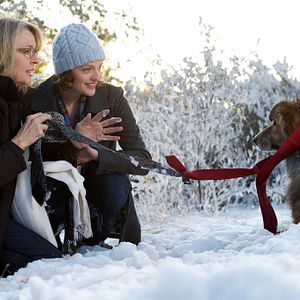 Bilder Darling Companion - Ein Hund fürs Leben