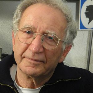 Bilder Main basse sur la mémoire, les pièges de la loi Gayssot