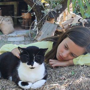 Bilder Cactus vinaigrette