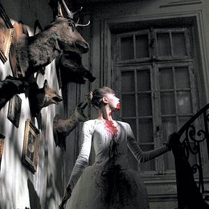 Bilder Livid - Das Blut der Ballerinas