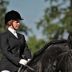 Bilder Die Insel der Pferde