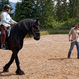 Bilder Die Insel der Pferde