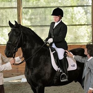 Bilder Die Insel der Pferde