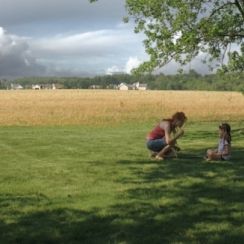Bilder Take Shelter - Ein Sturm zieht auf