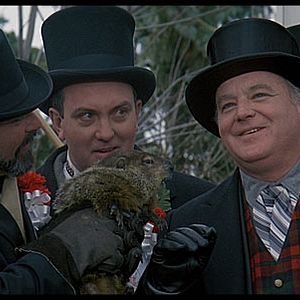 Bilder Und täglich grüßt das Murmeltier