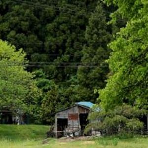 Bilder No Man's Zone