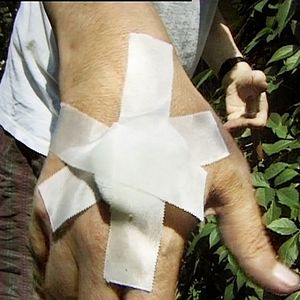 Bilder Abschied von den Fröschen