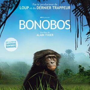 Bilder Benny - Allein im Wald