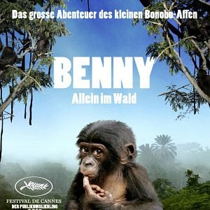 Bilder Benny - Allein im Wald