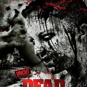 Bilder Dead Survivors