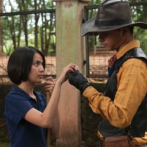 Bilder Die Nacht der Giraffe