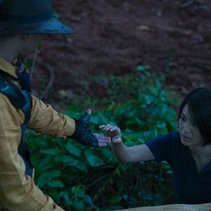 Bilder Die Nacht der Giraffe