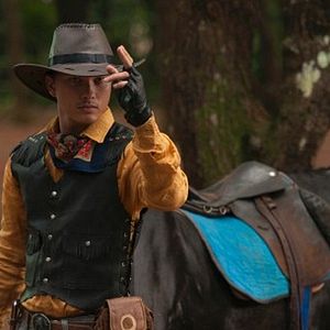 Bilder Die Nacht der Giraffe