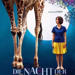 Bilder Die Nacht der Giraffe
