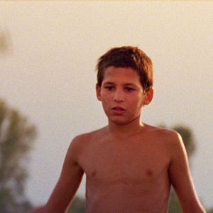 Bilder Just The Wind