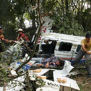 Bilder Königin des Südens