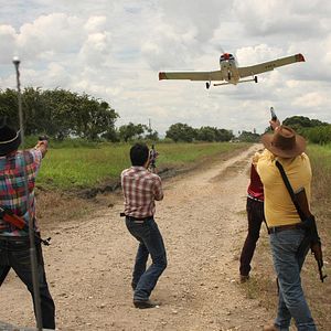 Bilder Königin des Südens